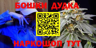 МДПВ Новокубанск