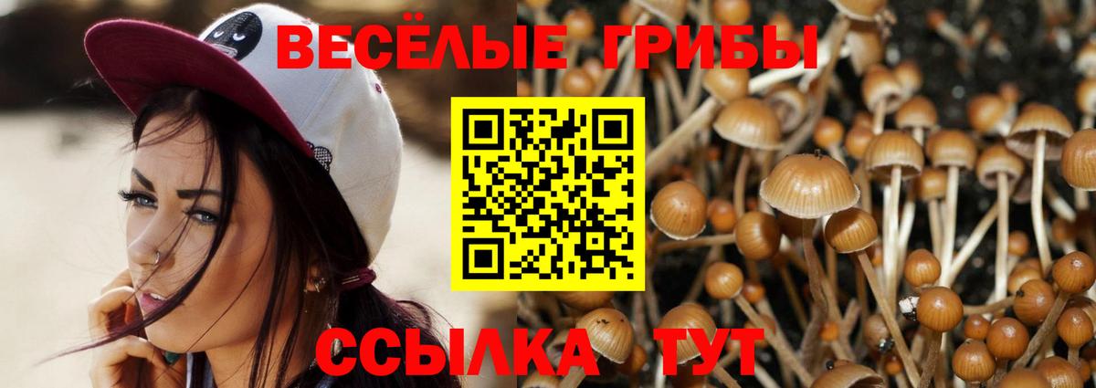 Топки  Псилоцибиновые грибы Psilocybine cubensis  Галлюциногенные грибы Psilocybe  Вход с VPN 